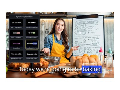Thumbnail 5 of 6 for Camtasia 2025 - Business subscription license (1 year) - 1 user