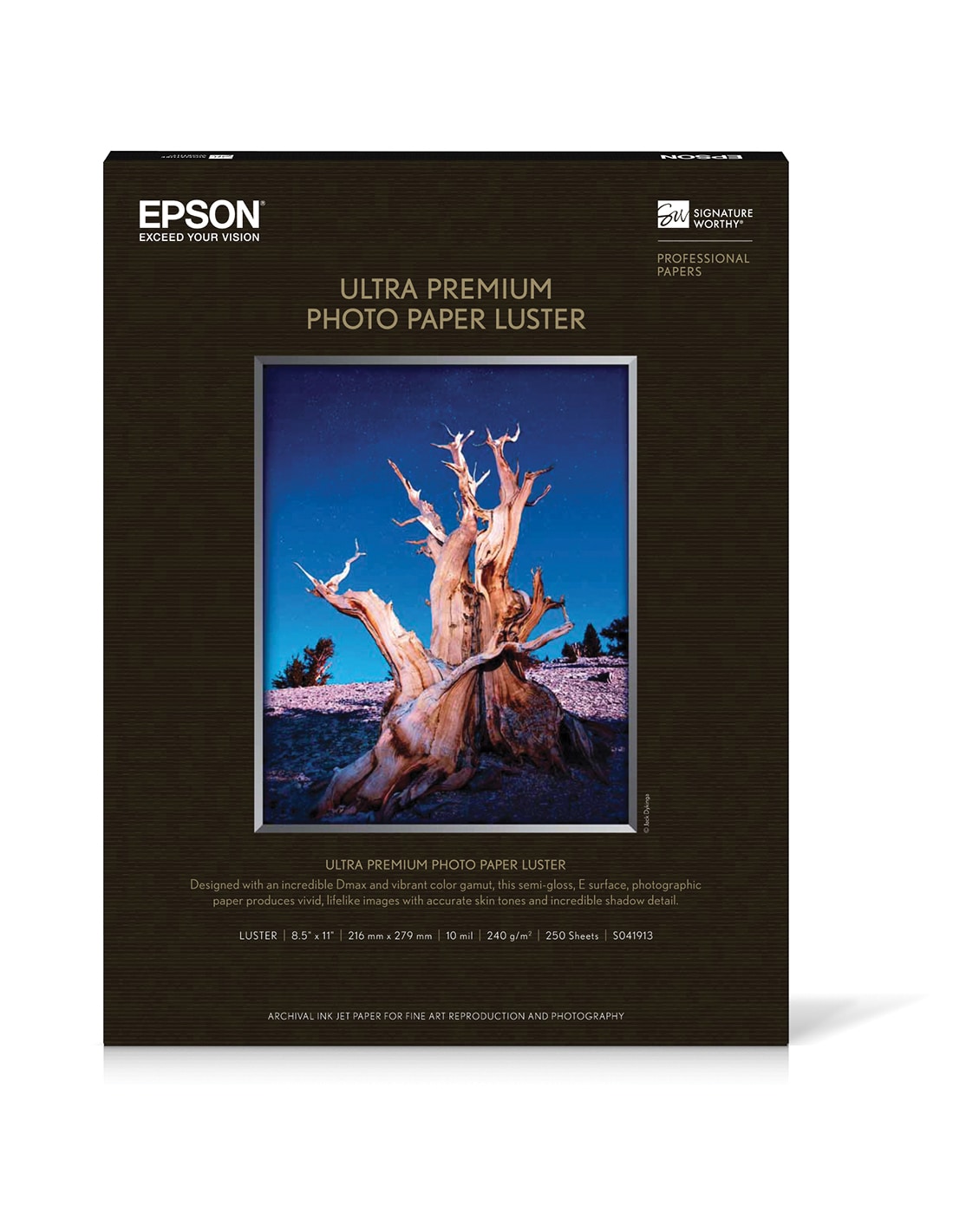 Epson Premium Luster Photo Paper - photo paper - luster - 250 sheet(s) - Letter