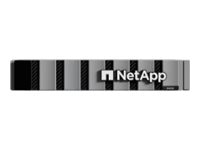 NetApp E-Series System Shelves E4012 - storage enclosure