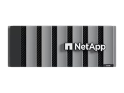 NetApp E-Series System Shelves E4060 - storage enclosure