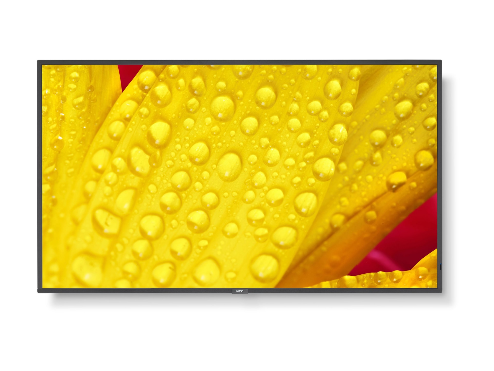 NEC MultiSync M431-2 43" Class (42.5" viewable) LED-backlit LCD display - 4