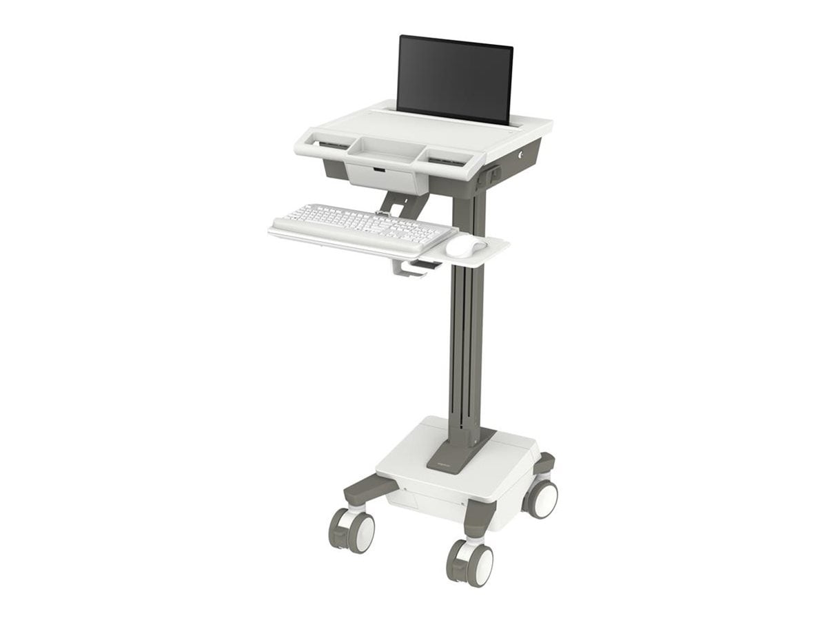 Ergotron Mosaic cart - for notebook / keyboard / mouse - TAA Compliant