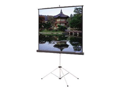 Da-Lite Carpeted Picture King with Keystone Eliminator - projection screen