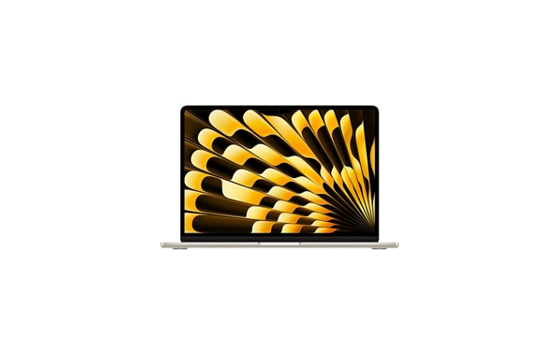 Apple 13