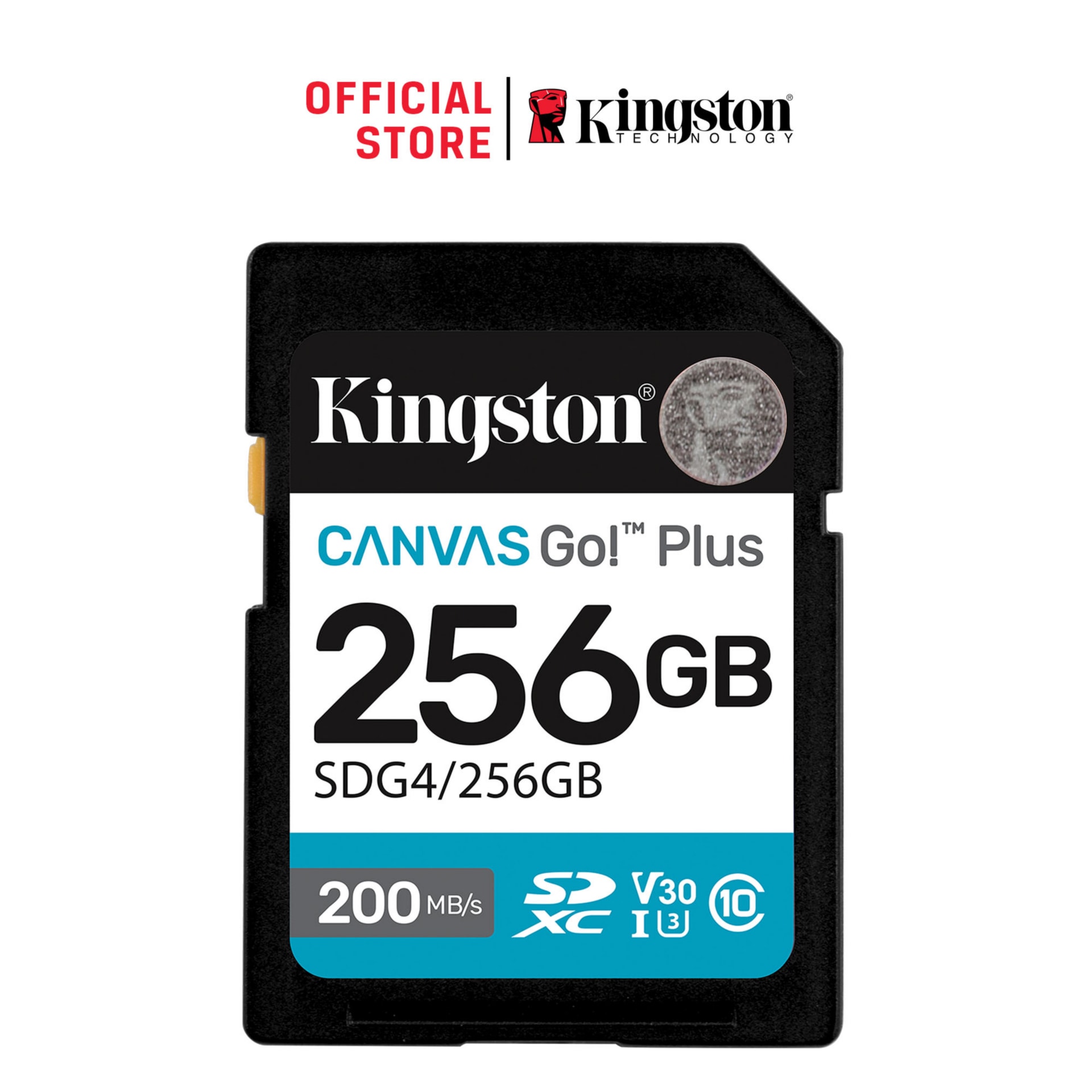 Kingston Canvas Go! Plus - flash memory card - 256 GB - SDXC UHS-I