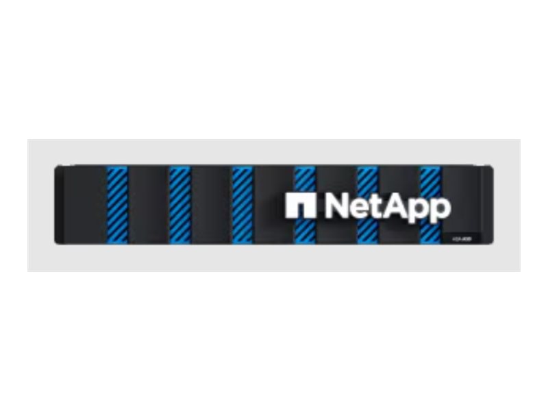 NetApp ASA A-Series ASA A30 - NAS server