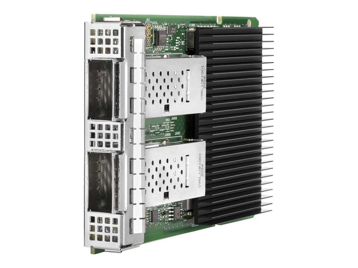 Intel E810-CQDA2 - network adapter - OCP 3.0 - 100 Gigabit QSFP28 x 2