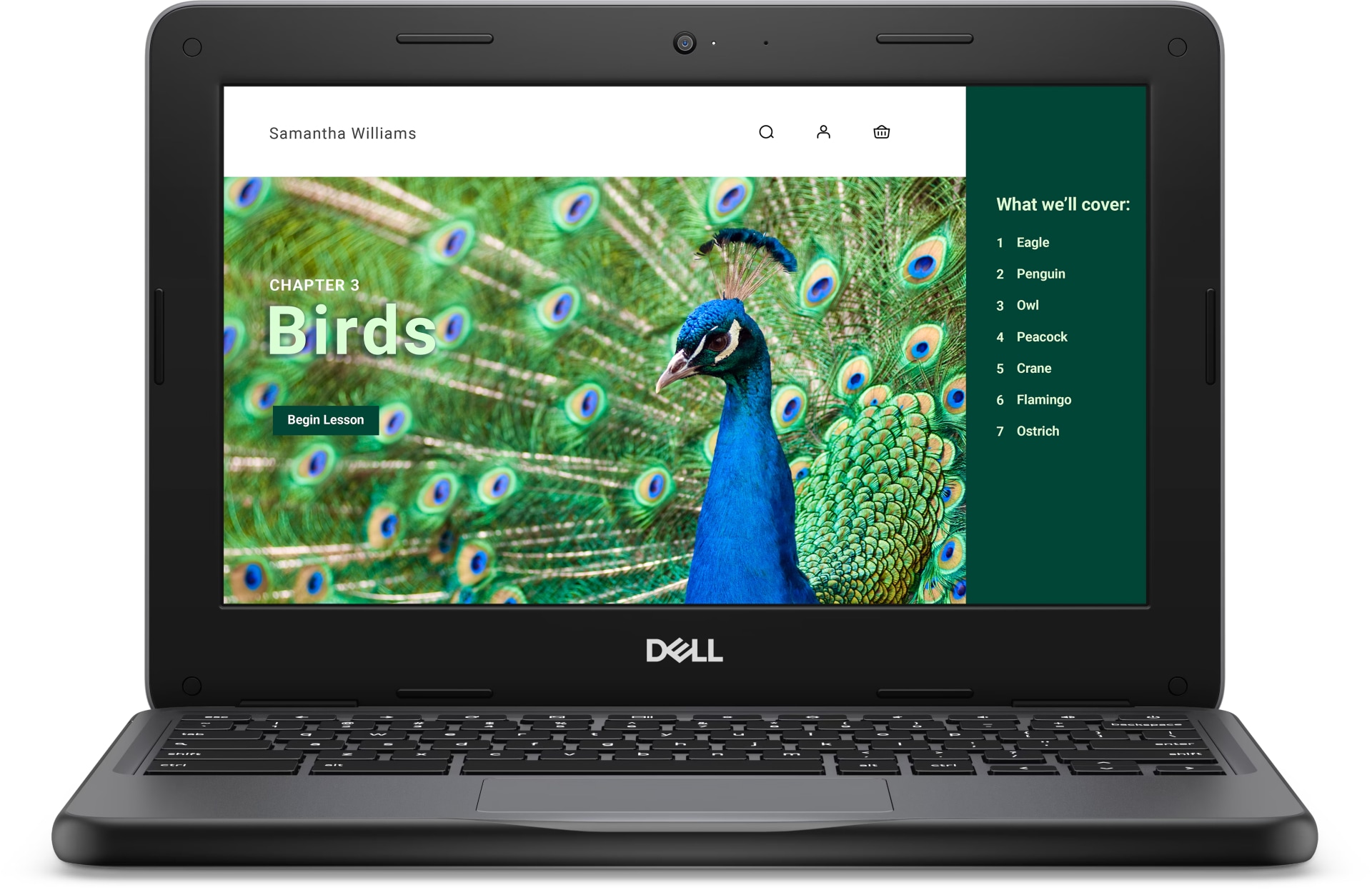 Chromebook 3120 Laptop or 2-in-1