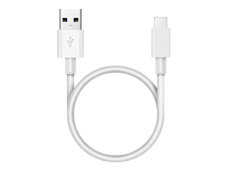 4XEM Lightning cable - Lightning / USB - MFI Certified - 101 ft