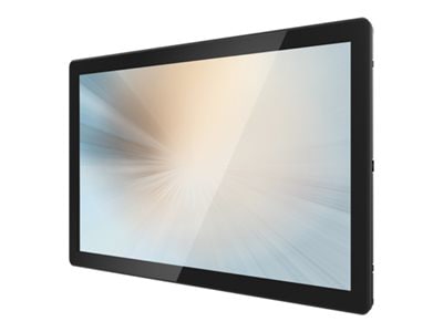 MicroTouch Open Frame Series OF-195P-B2 - LCD monitor - Full HD (1080p) - 1