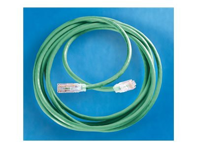 Ortronics patch cable - 9 ft - green