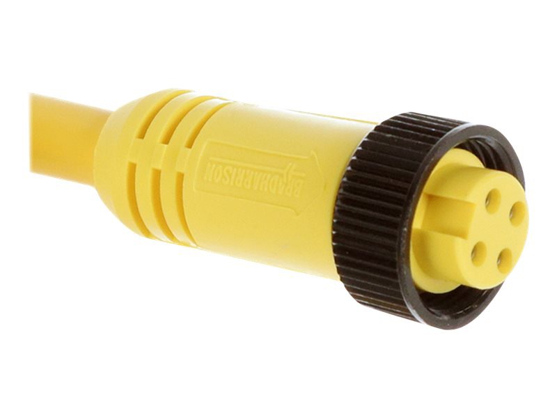 Molex - power cable - bare wire to Mini-Change (4 pole) - 3.66 m