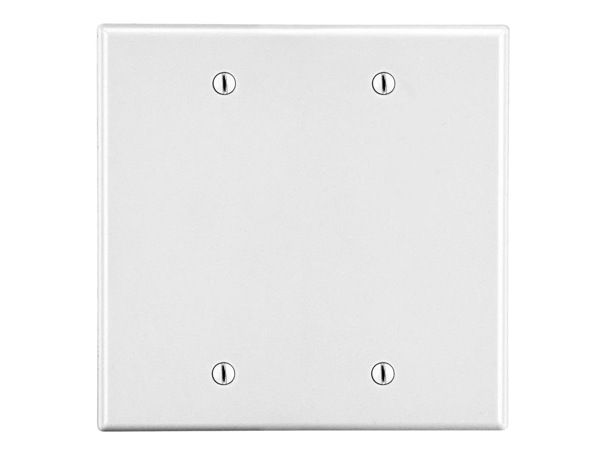 Hubbell wall mount plate (blank) (vertical)