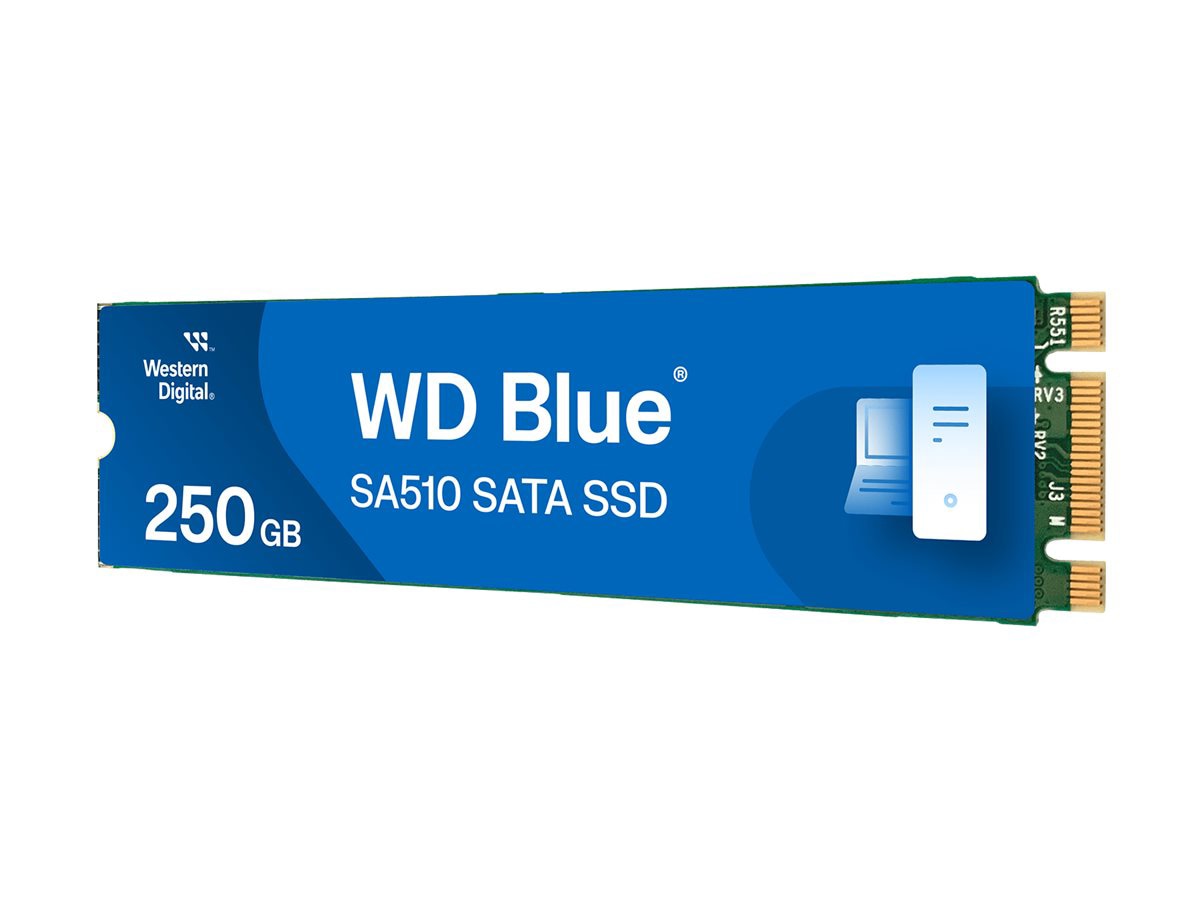 WD Blue SA510 WDS250G3B0B-00AXS0 - SSD - 250 GB - SATA 6Gb/s