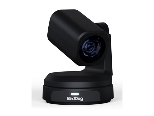 BirdDog MAX - network surveillance camera
