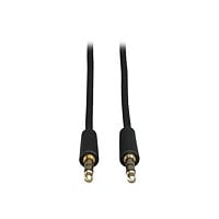 Tripp Lite 6ft Mini Stereo Audio Dubbing Cord 3.5mm Connectors M/M 6' - audio cable - 6 ft