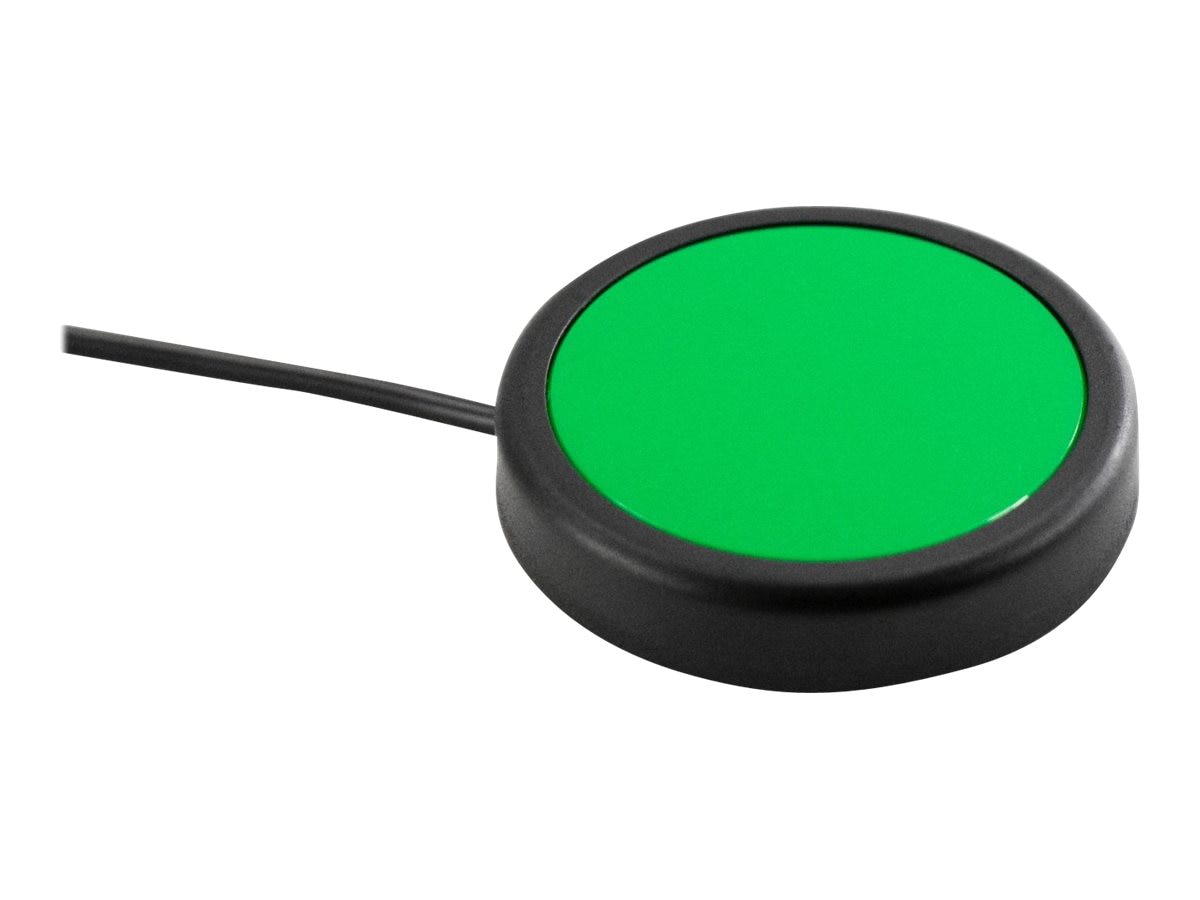 P.I. Engineering button switch