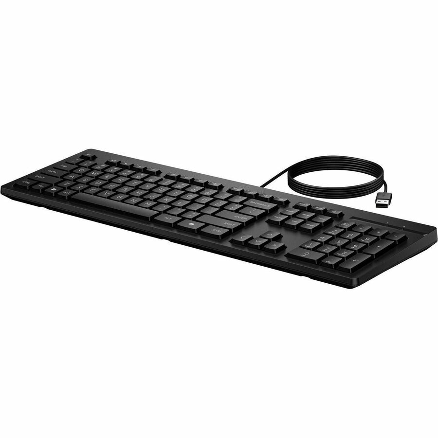 HP 125 Wired Keyboard