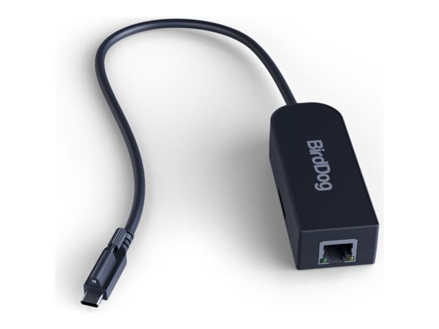 BirdDog - network adapter - USB-C - Gigabit Ethernet x 1