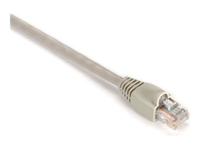 Black Box GigaBase patch cable - 15 ft - beige