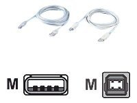 FCL - USB cable - USB to USB Type B - 3 m