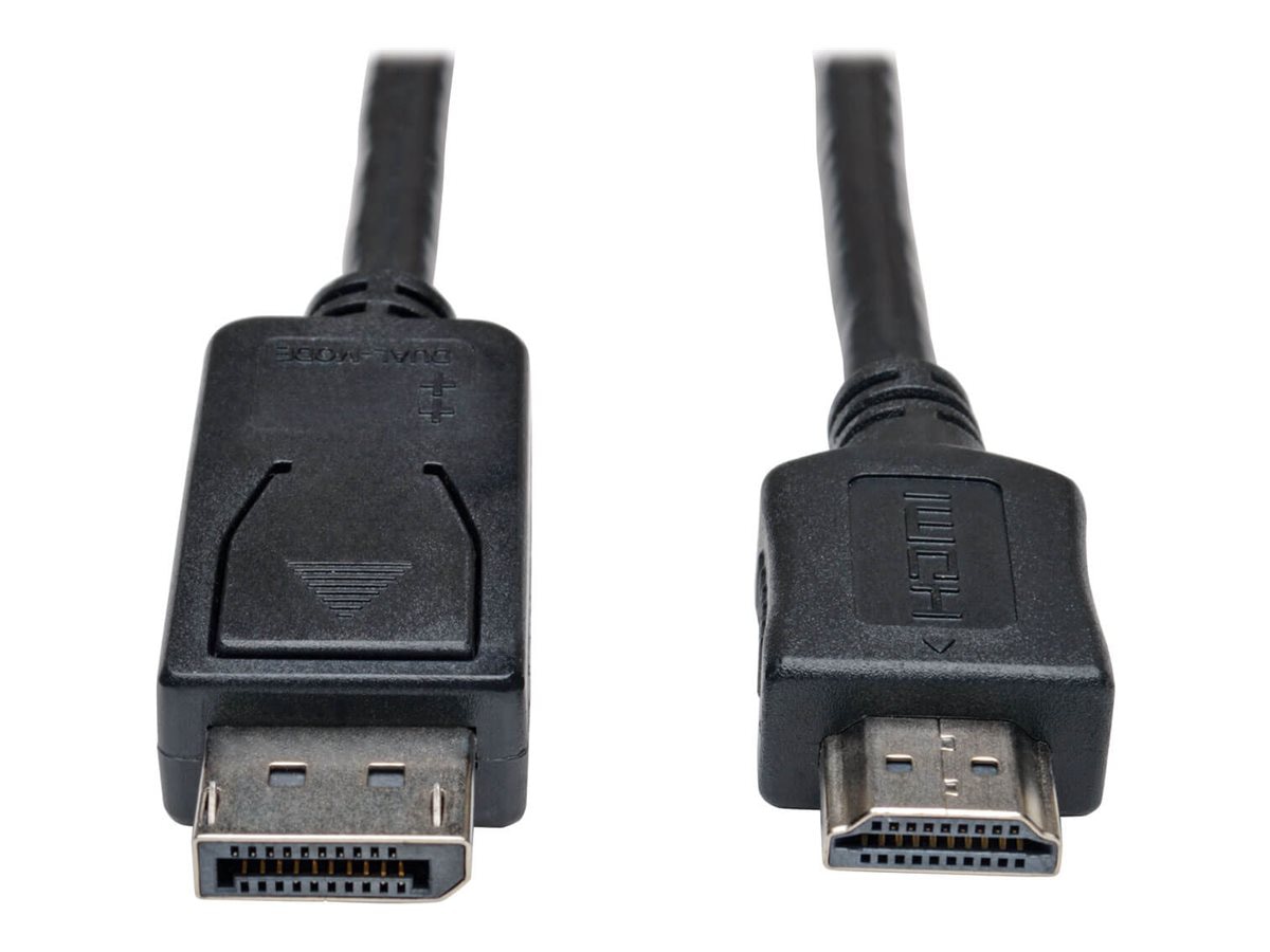Eaton Tripp Lite Series DisplayPort to HDMI Adapter Cable (M/M), 20 ft. (6.1 m) - adapter cable - DisplayPort / HDMI -