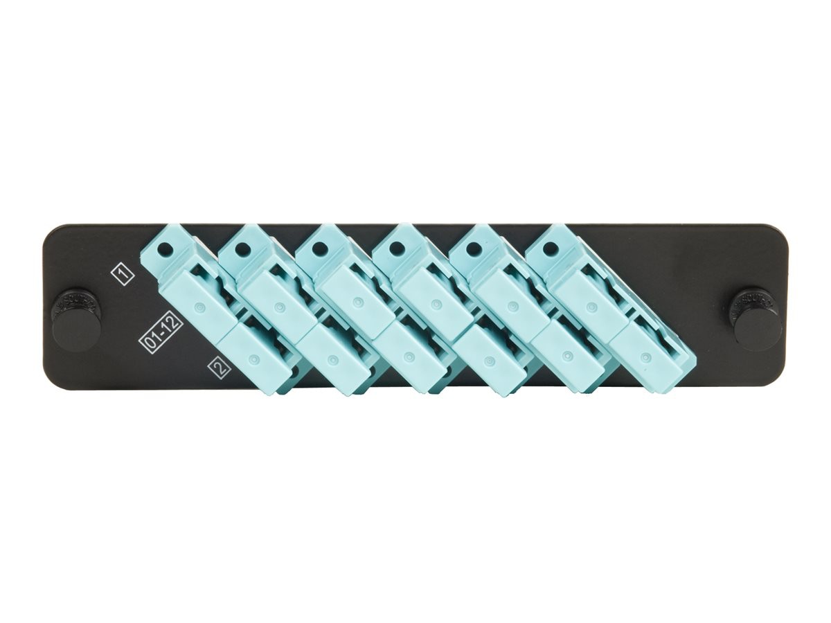 LazrSPEED 1000-style PNL-BK-012-MFA-SC02-AQ - fiber-optic adapter plate