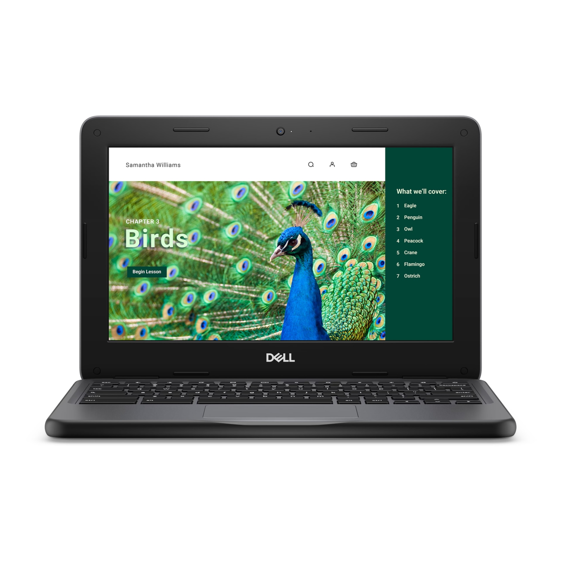 Chromebook 3120 - 11.6" HD - 4GB LPDDR5 - HD Cam - Mic - Non-Touch - Anti-Glare - 3.17 lbs -  - US English