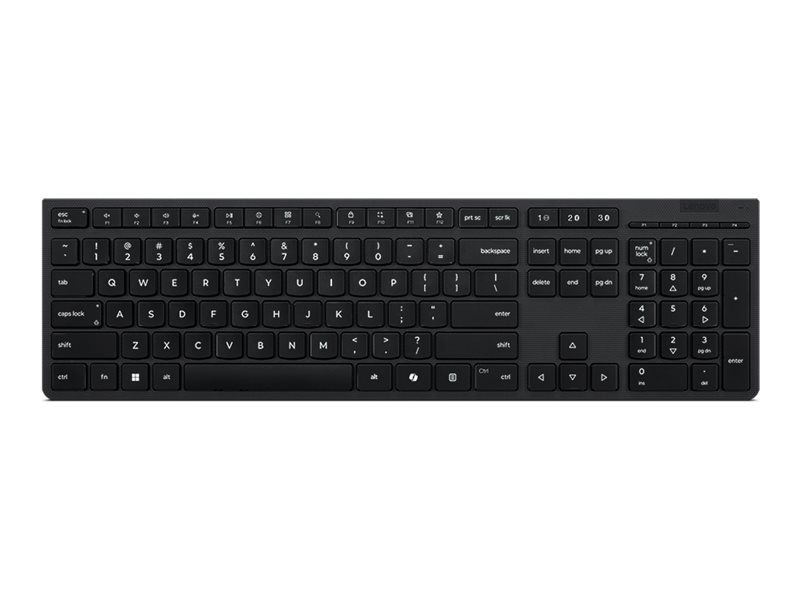 Lenovo Professional - keyboard full size - QWERTY - US English - gray Input