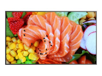 TCL TM65N 65" LED-backlit LCD display - 4K - for digital signage