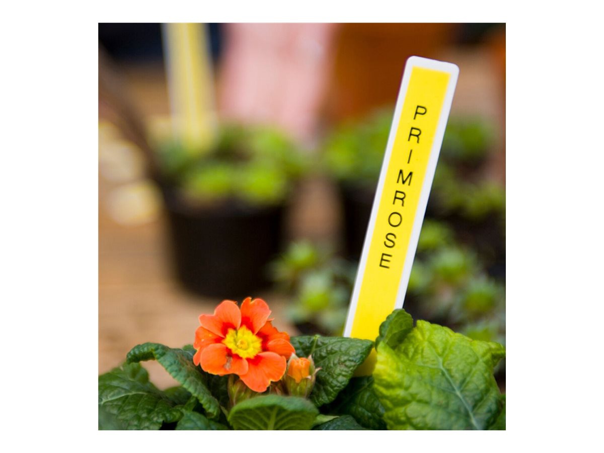 Brother TZe-S951 - laminated tape - matte - 1 cassette(s) -