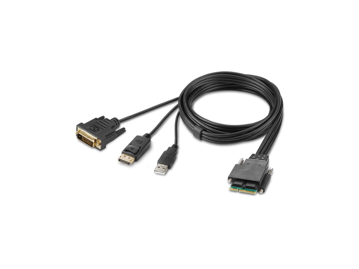 Belkin Secure Modular DVI and DP Dual Head Host Cable - video / USB cable -