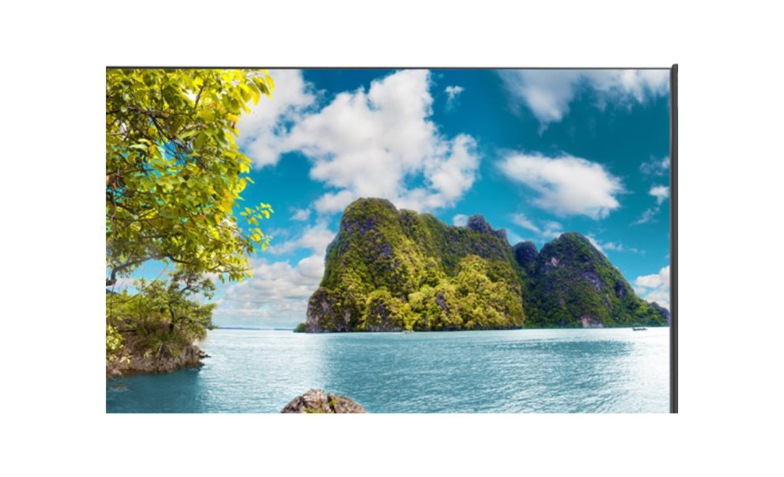 Sharp MultiSync PN-UN553S 55