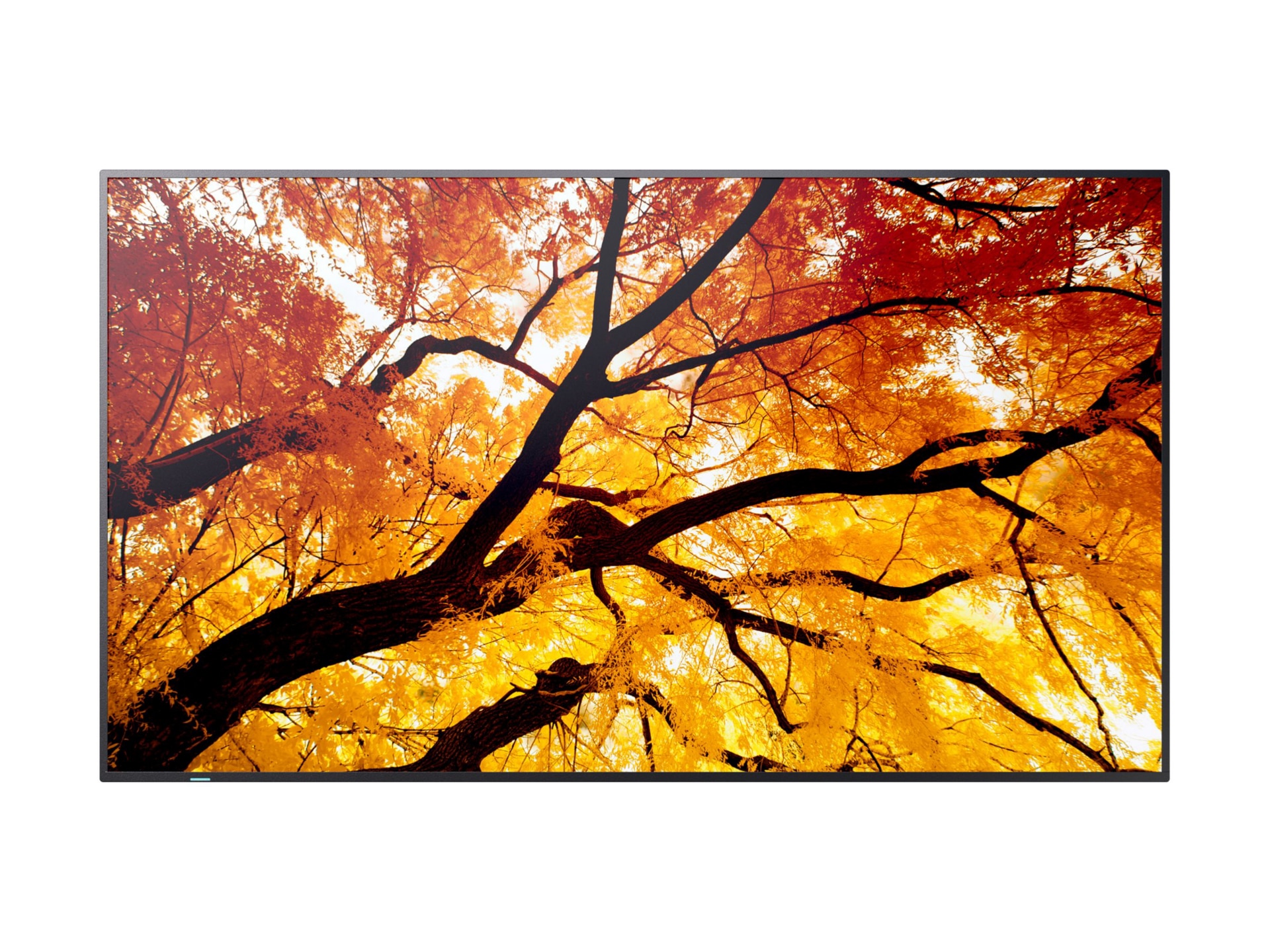 Sharp MultiSync PN-M982 PN-M Series - 98" Class (97.5" viewable) LED-backli