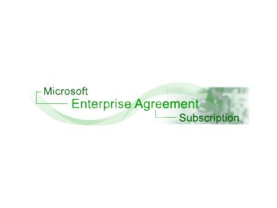 Microsoft Enterprise CAL - subscription license (1 month) - 1 user
