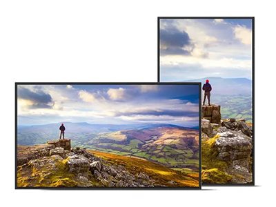 Sharp MultiSync PN-E439 E Series - 43" Class (42.5" viewable) LED-backlit L