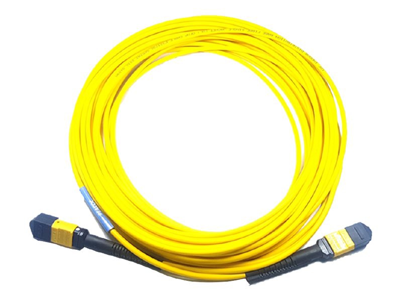 Cisco trunk cable - 7 m