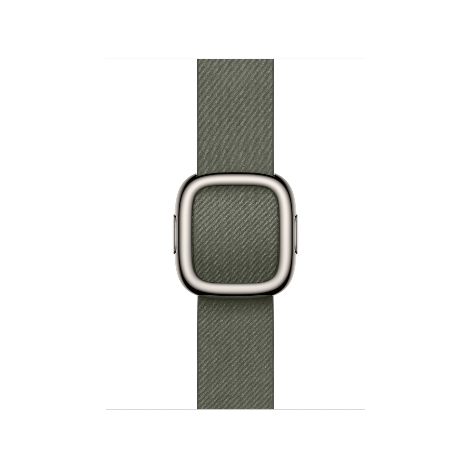 APPLE 42MM SAGE GRAY MODERN BUCKLE M