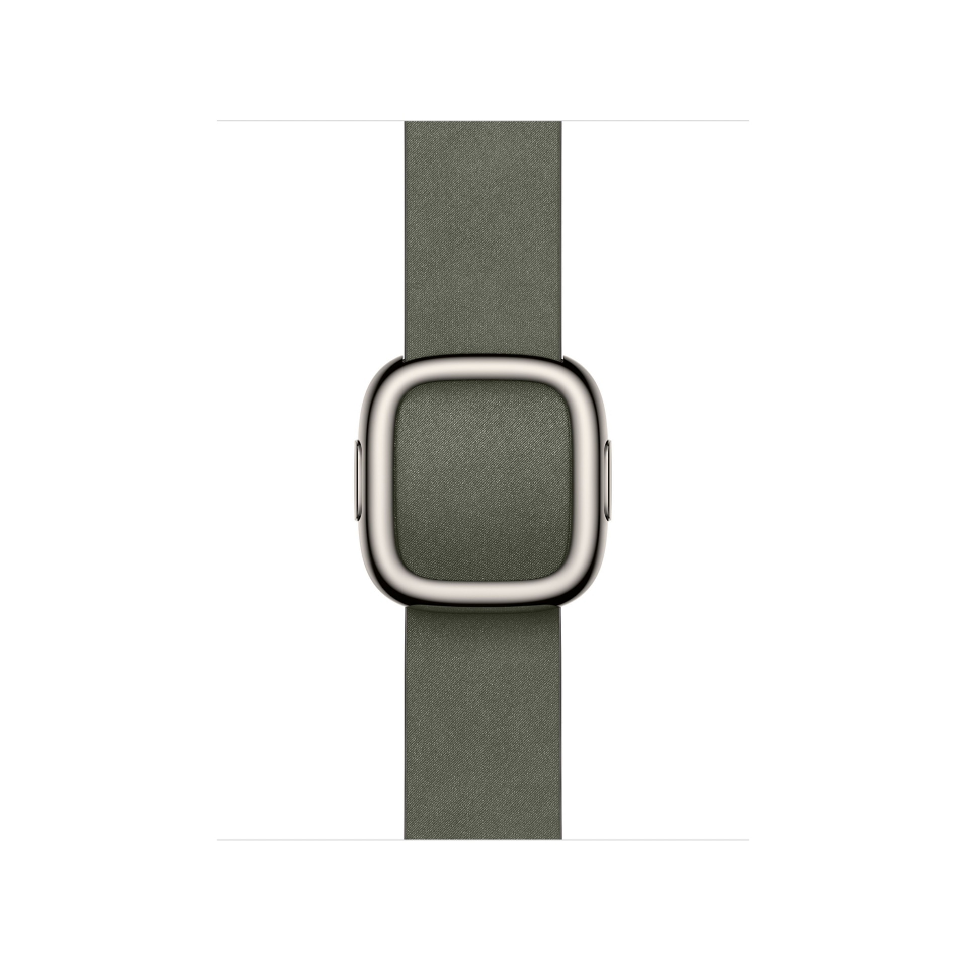 APPLE 42MM SAGE GRAY MODERN BUCKLE L