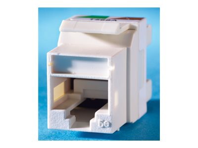 Ortronics TechChoice modular insert