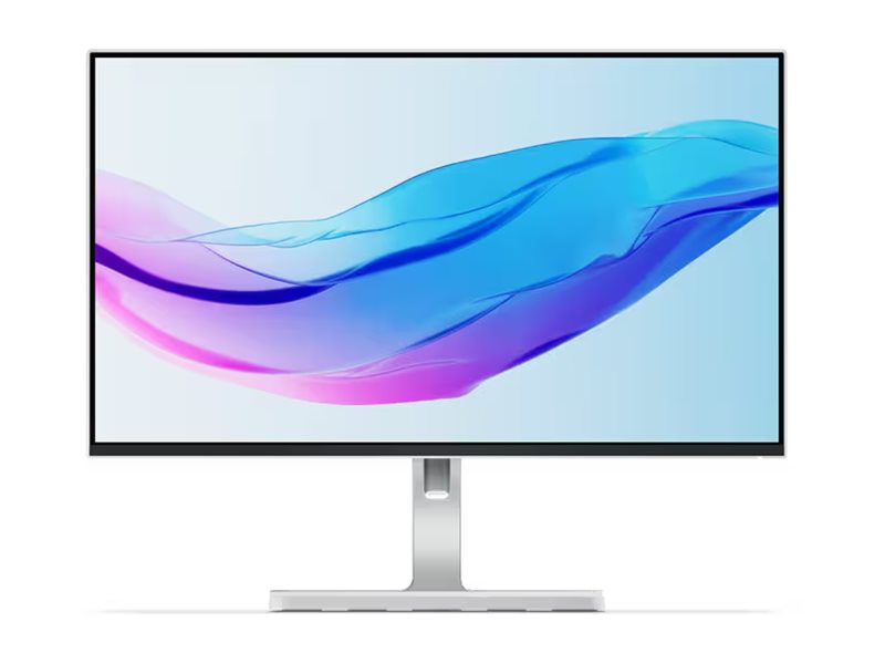 Lenovo L24m-4A - LED monitor - Full HD (1080p) - 24"