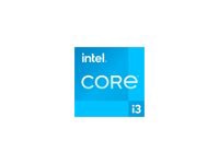 Intel Core i3 13100 / 3.4 GHz processor - OEM