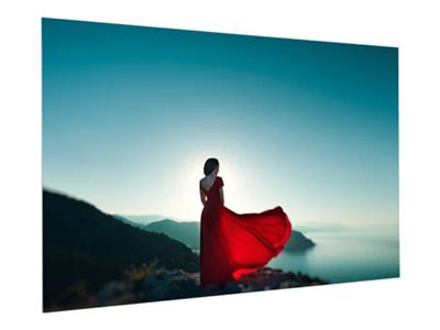 Da-Lite FullVision projection screen - 133" (133.1 in) - TAA Compliant