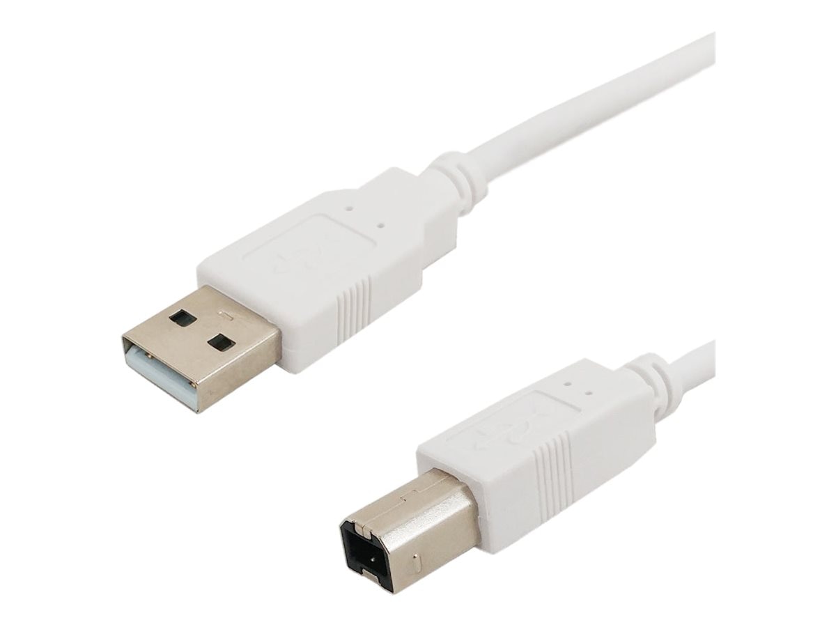 Infinite Cables - USB cable - USB to USB Type B