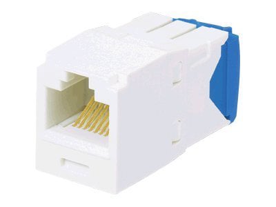 Panduit MINI-COM TX-6 10Gig - modular insert