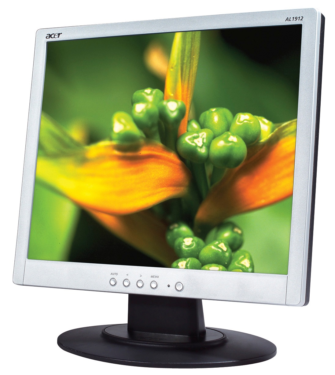 Acer AL1912S