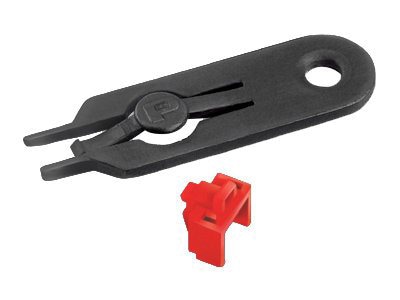 Panduit Network Faceplate