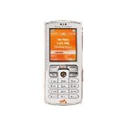 Sony Ericsson W800i Walkman - cellular phone with digital camera / digital player / FM radio - GSM