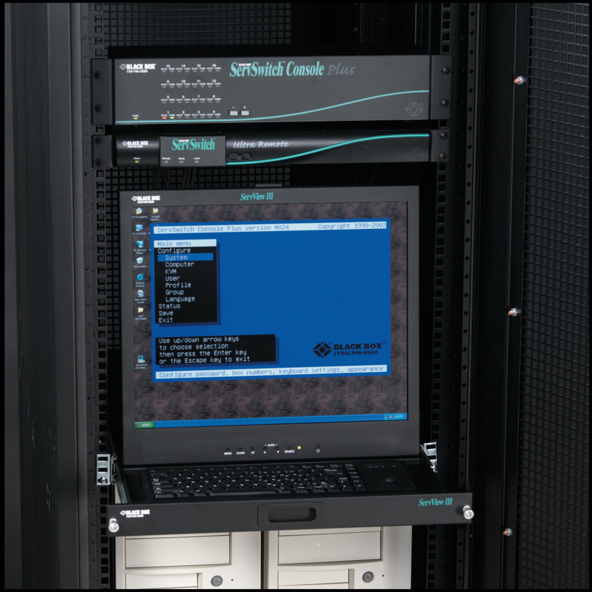 Black Box ServView III
