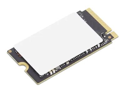 Lenovo - SSD - 256 GB - PCIe 4.0 x4